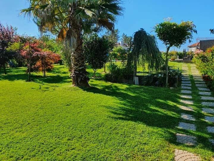 Villa Casa Brandao Póvoa de Varzim Exterior foto